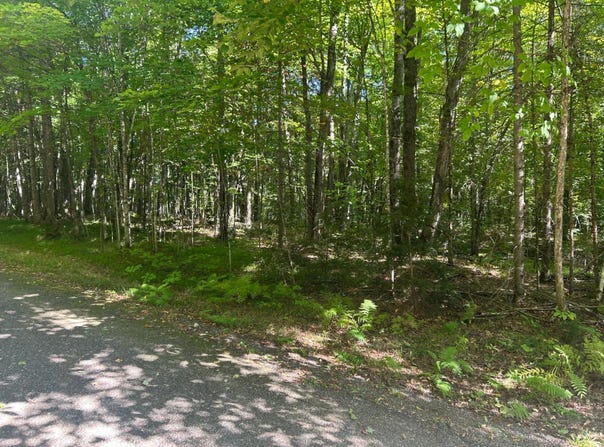 BALSAM ROW RD, Presque Isle, WI 54557