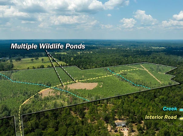 PID # 17166 Old Hwy 59, Lufkin, TX 75901