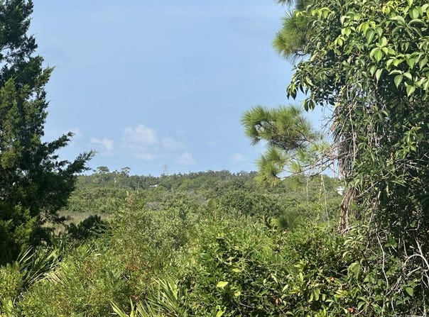E Point Rd, Cedar Key, FL 32625