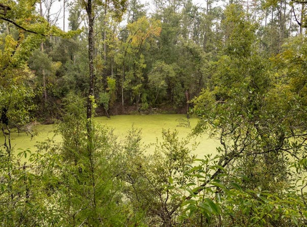 8TH TERR, Live Oak, FL 32060