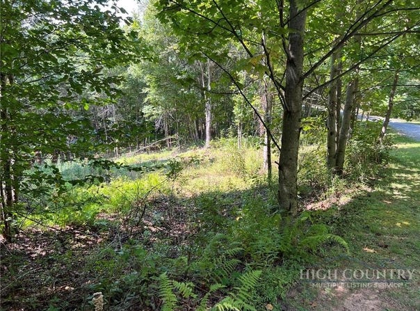 Abigail Lane, Deep Gap, NC 28618