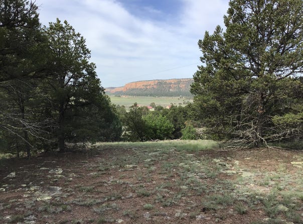 Sunflower Drive lot: 6, Ramah, NM 87321