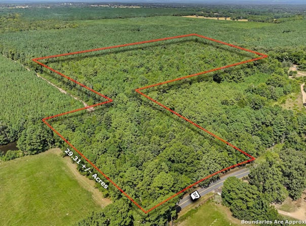 317 Highway, Lockesburg, AR 71846