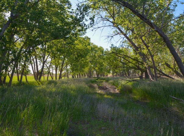 123 D RD, Palco, KS 67657