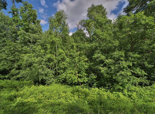 Percheron Drive, Breezy Point, MN 56472