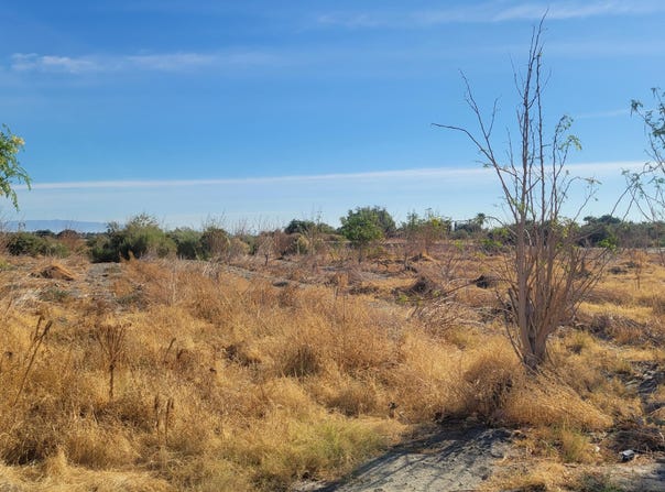 89635 81st Avenue, Thermal, CA 92274