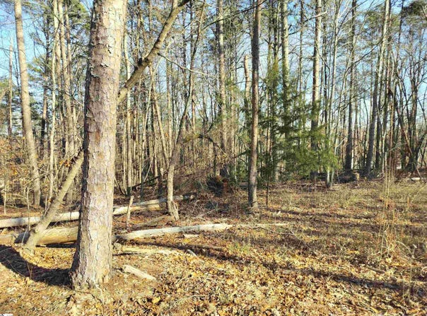 343 Beech Drive, Westminster, SC 29693