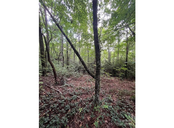 GREENLEAF Drive, Flat Rock, NC 28731