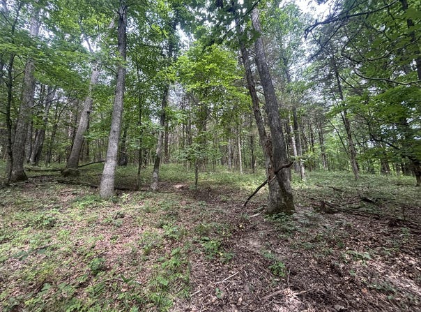 S Hagans Road, Ashland, MO 65010