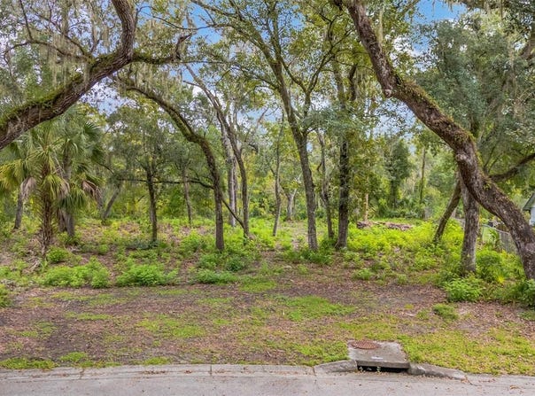 11731 GAIL Drive, TEMPLE TERRACE, FL 33617