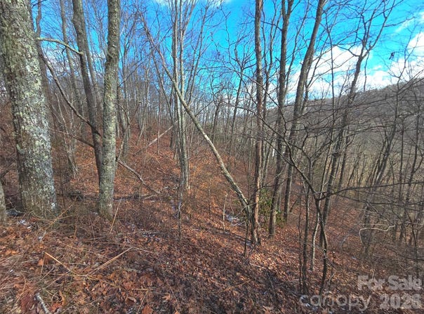 220 Sky Drive, Maggie Valley, NC 28751
