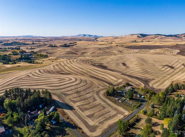 Orchard Ave, Moscow, ID 83843