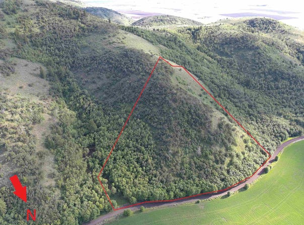 McPherson Canyon Rd, Grace, ID 83241