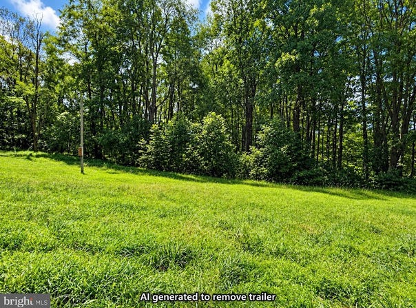 270 RETRIEVER Road, PARSONS, WV 26287
