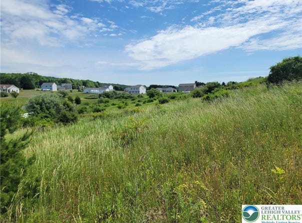 Dayne Drive, Towamensing Twp, PA 18235