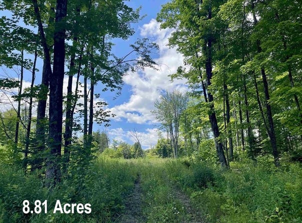 2209 Underpass Road, Sutton, VT 05867