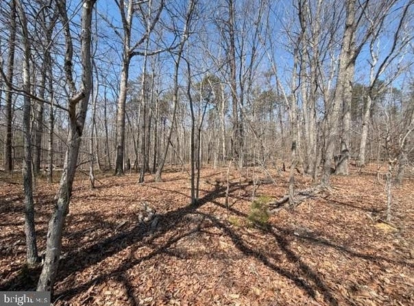 COUNTRYSIDE LANE - LOT 1, LIGNUM, VA 22726