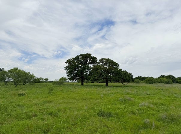 6718 FM 175, Henrietta, TX 76365