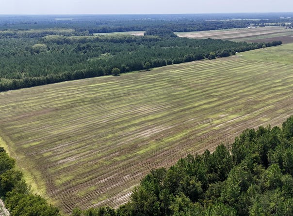 Peanut Road, Cottondale, FL 32431