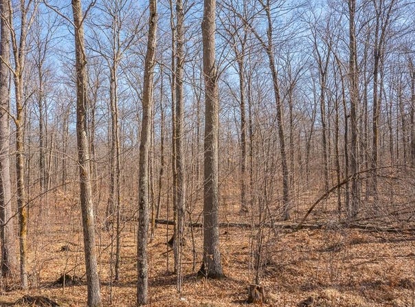 250th Place, Isle, MN 56342