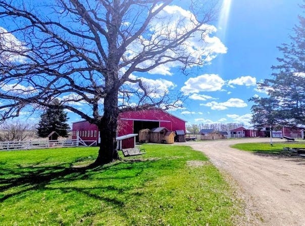 33293 115th Avenue, Eagle Bend, MN 56446