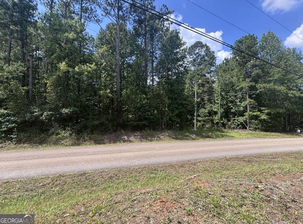 679 Freedom Drive, Martin, GA 30557