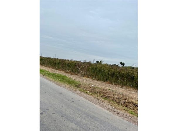N Moon Lake Drive, Progreso Lakes, TX 78579