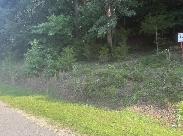 TRACTS 5-6 CARROLL HOLLOW Rd lot: 5,6, Waynesboro, TN 38485