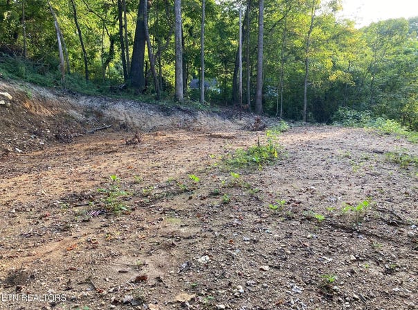 311 W Chestnut St, LaFollette, TN 37766