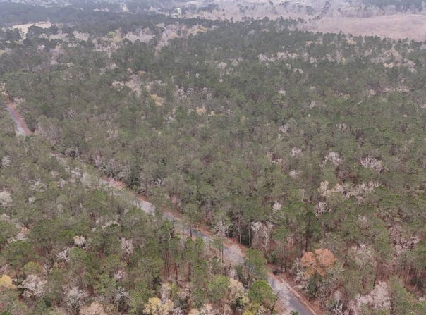 000 Gibson Loop, Starks, LA 70661