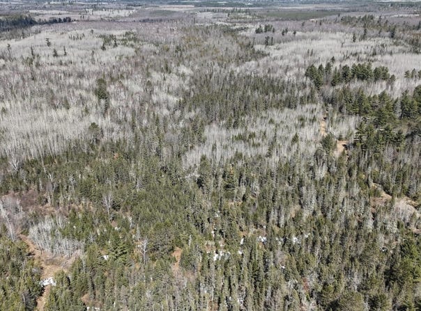 80 Acres CTH CC, Tomahawk, WI 54487