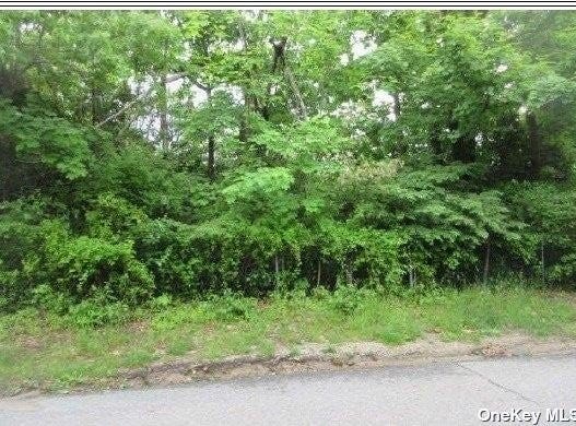 Mount Vernon Avenue, Patchogue, NY 11772