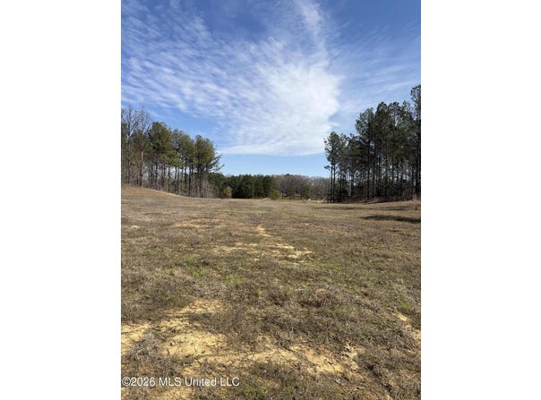 35 Deerwood Drive lot: 35, Lake Cormorant, MS 38641