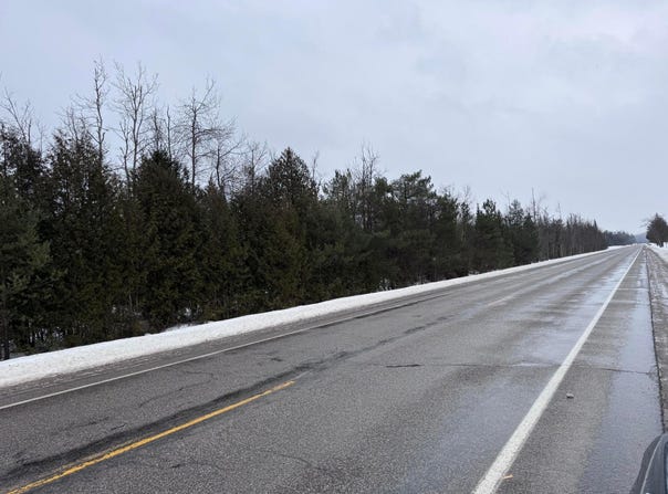 10 AC OLD 27 N HIGHWAY, VANDERBILT, MI 49795