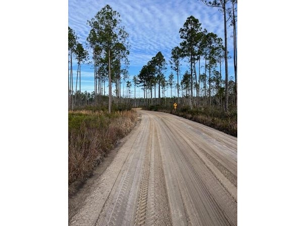 Bergman Road, Naylor, GA 31641