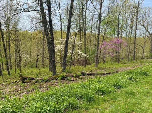 Halladale Lane lot: 3, Bella Vista, AR 72715