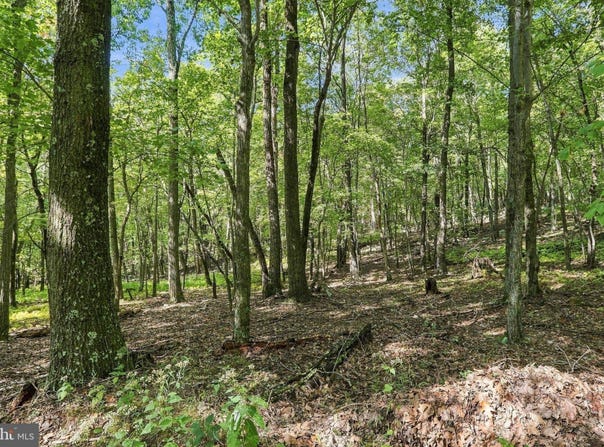 RED MAPLE Drive lot: 69, BAKER, WV 26801