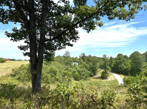 10720 Sackett Road, Licking, MO 65542