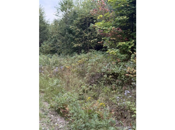 Morrison Creek Road, Iron River, MI 49935