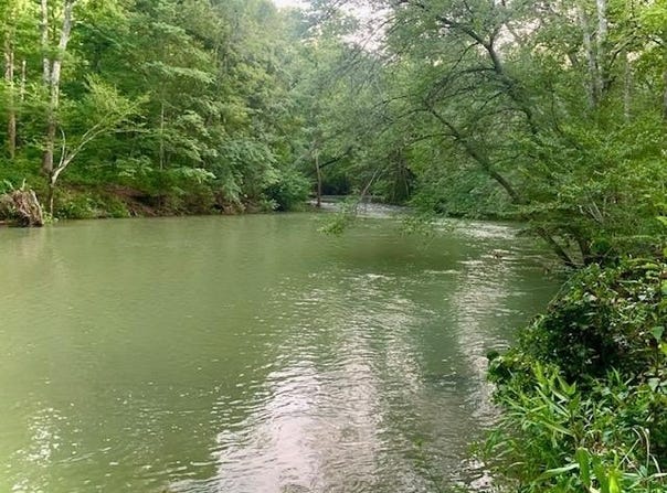 1602 Turkey Creek Road, Mountain View, AR 72560