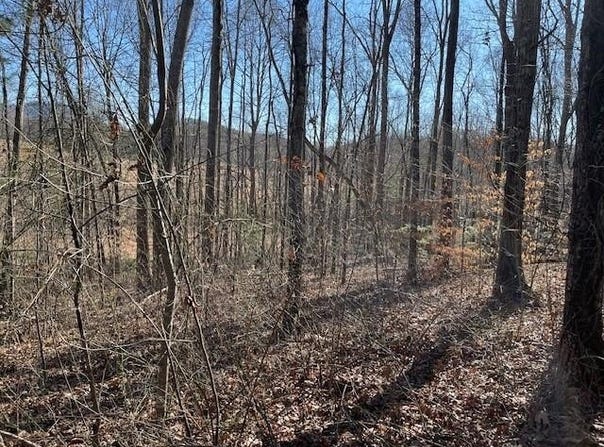 The Woodlands lot: 2E, Hayesville, NC 28904