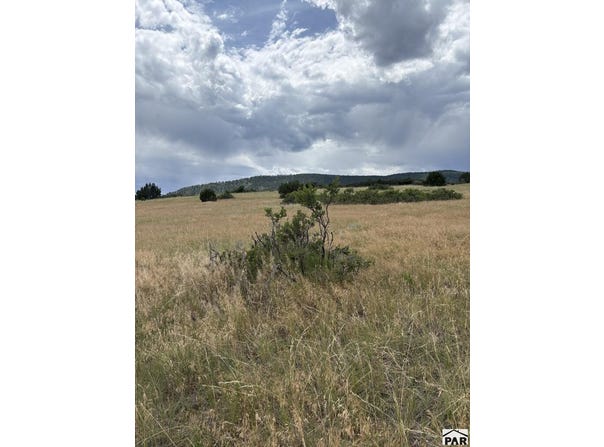 Ghost River Ranch lot: 133, Rye, CO 81069
