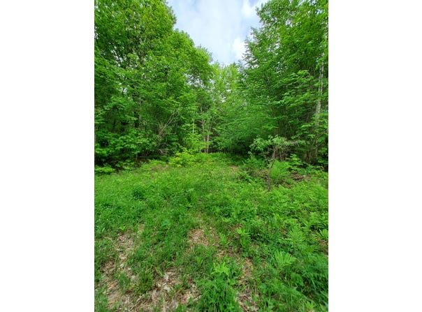 (Map 14) lot: 50, Andover, ME 04216