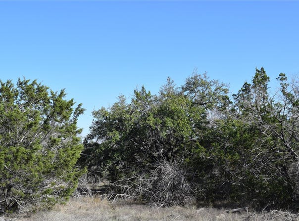 Cheyenne Trl, Wimberley, TX 78676