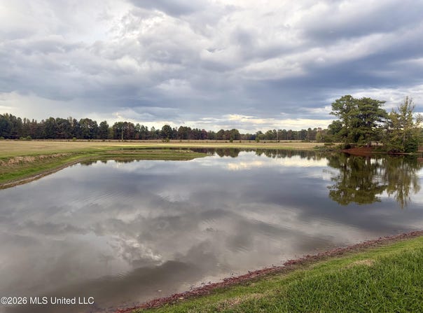 1310 Jones Loop lot: 1310, Terry, MS 39170