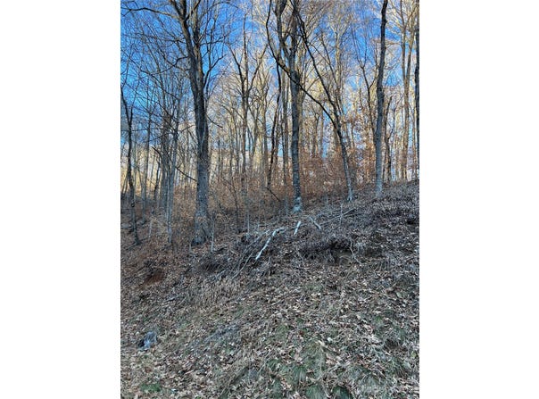 Chestnut Lane, Mars Hill, NC 28754