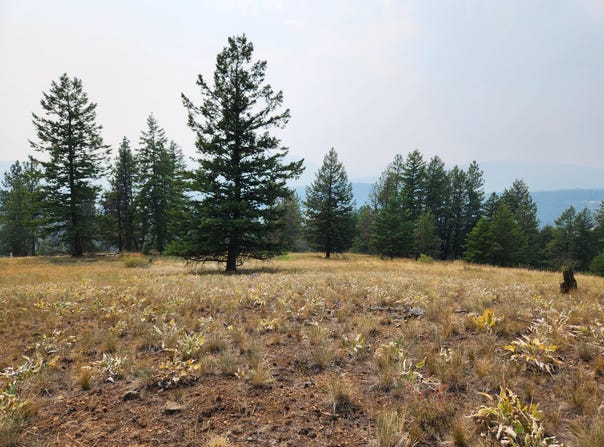 ROSE VALLEY Rd, REPUBLIC, WA 99166