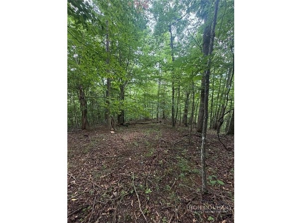 Edwin Blevins Road, Jefferson, NC 28640