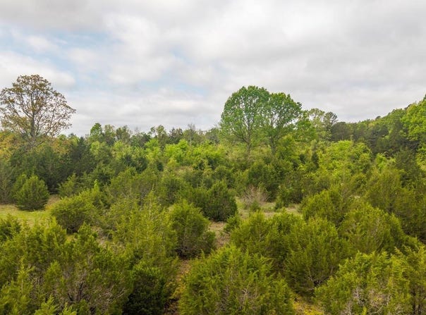 Tract 8 LITTLE WOODS ROAD, Elizabeth, AR 72531