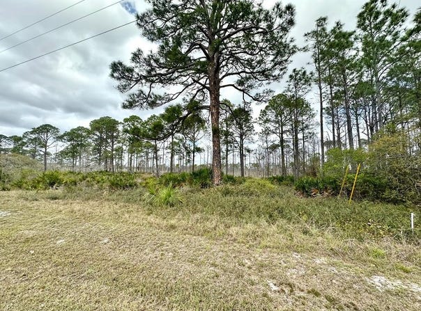 SW 100th Pl lot: 48, Cedar Key, FL 32625